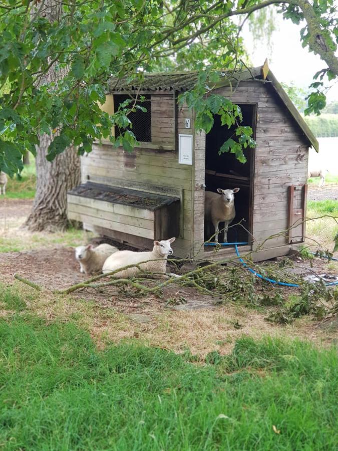 The Cosy Hut Villa Faversham Exterior photo